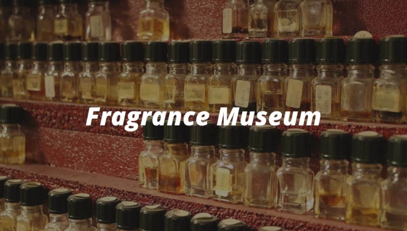 fragrance museum regiondo