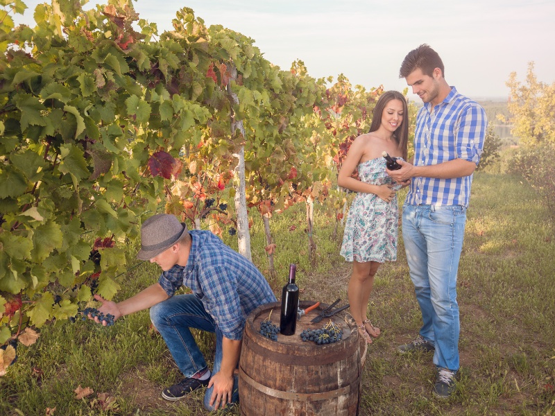 Partnering With OTAs to Promote your Wine Experiences